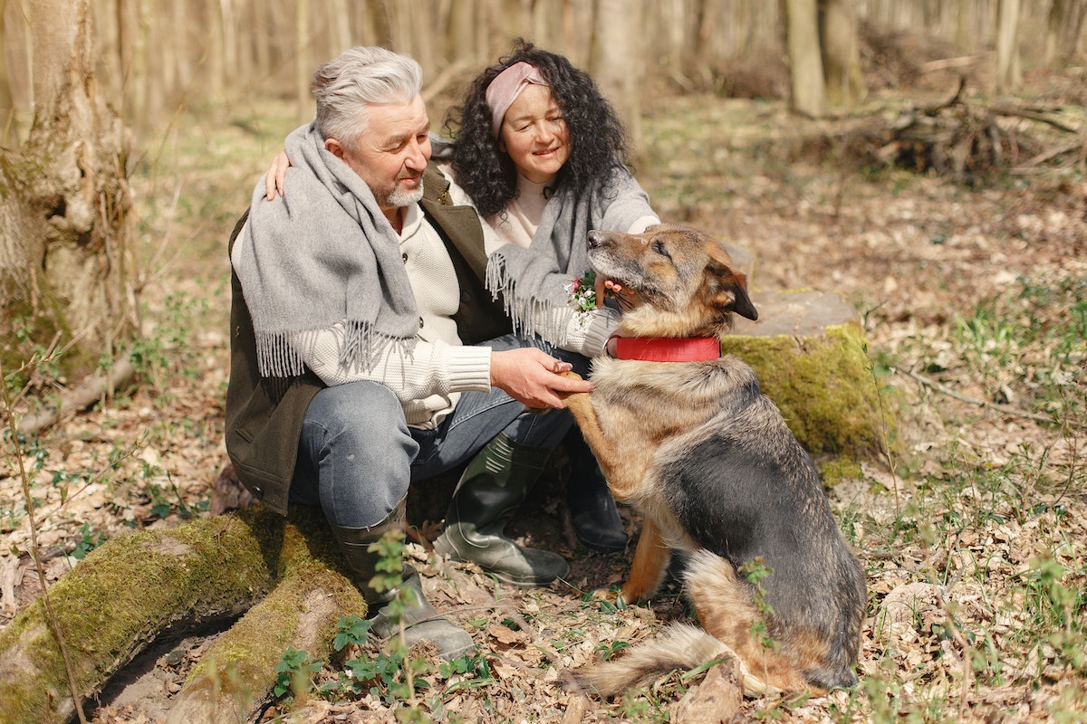 Idős pár kutyával. A hiperurikémia okai, tünetei, valamint azok csillapítása az étrenden keresztül