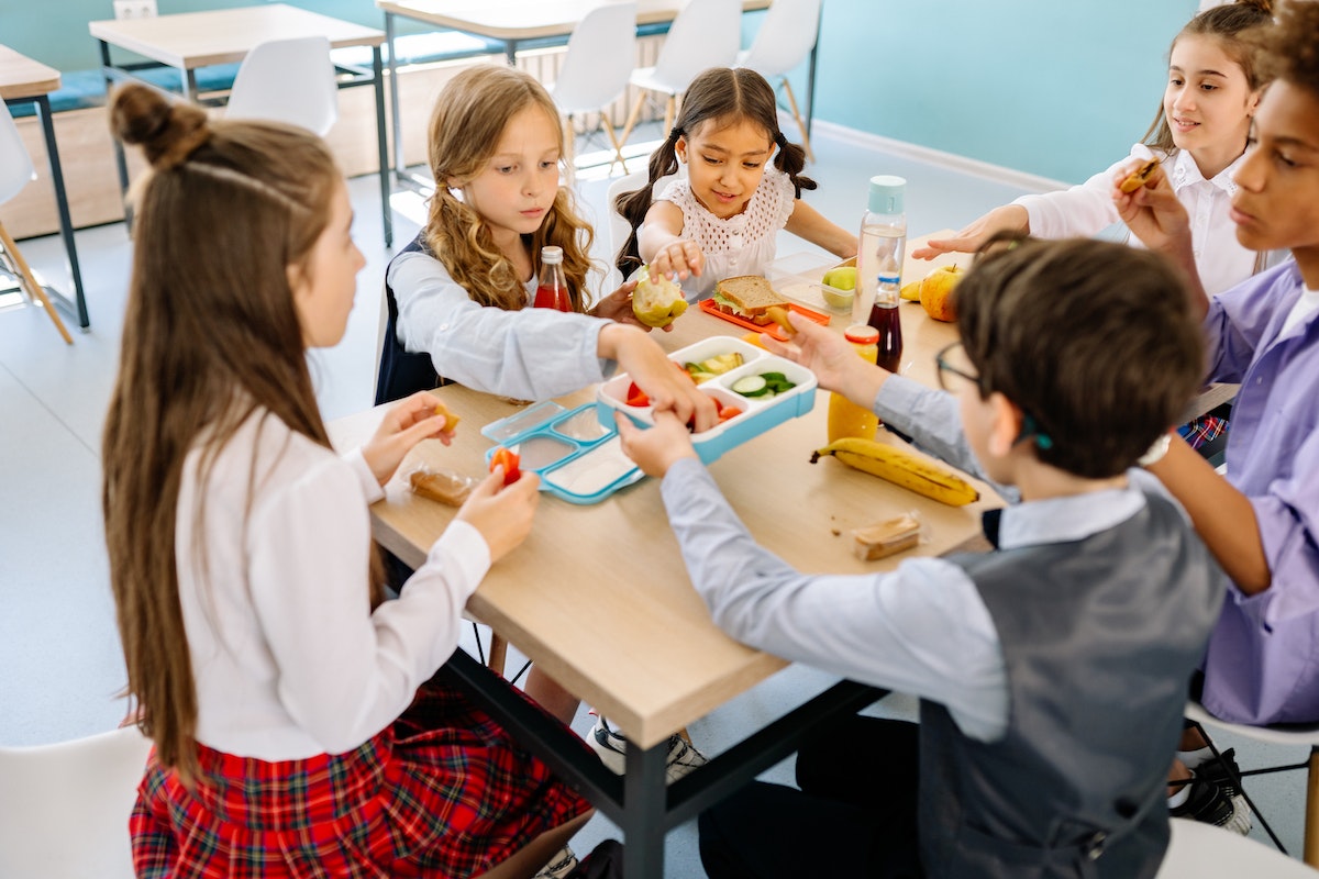 Gyermekek közösen étkeznek az iskolában. Vissza a suliba! Kitűnő immunerősítő hatóanyagok gyermekeknek